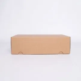 Postpack Standard Versandkarton 34x24x10,5 CM | POSTPACK | DIGITALER DRUCK AUF VORFESTGELEGTEM BEREICH