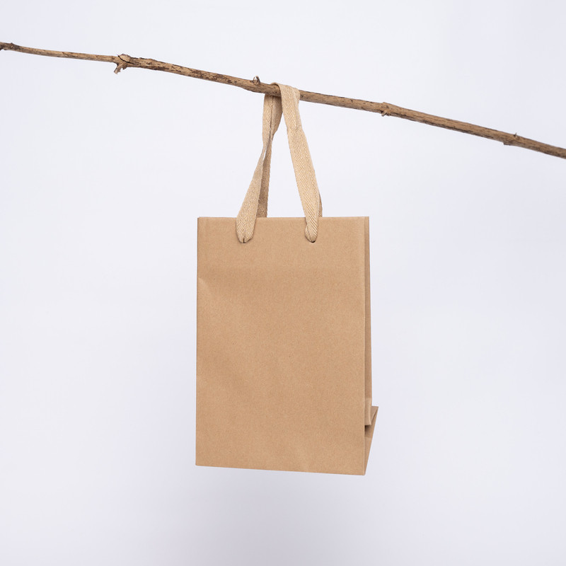 Customized Laminated Personalized shopping bag Noblesse 16x8x23 CM | LAMINATED NOBLESSE PAPER BAG | SCREEN PRINTING ON ONE SI...