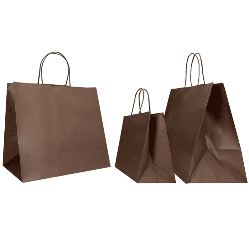 35x22x32+6 35x22x32+6 CM | PAPIERTASCHE SAFARI BREITER BODEN | FLEXO-DRUCK IN EINER FARBE AUF BEIDEN SEITEN | KRAFTPAPIER FARBE