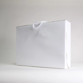 Customized Flat delivered boxes Suitcase box