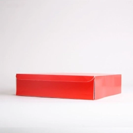 Customized Flat delivered boxes Catering box