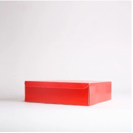 Customized Flat delivered boxes Catering box