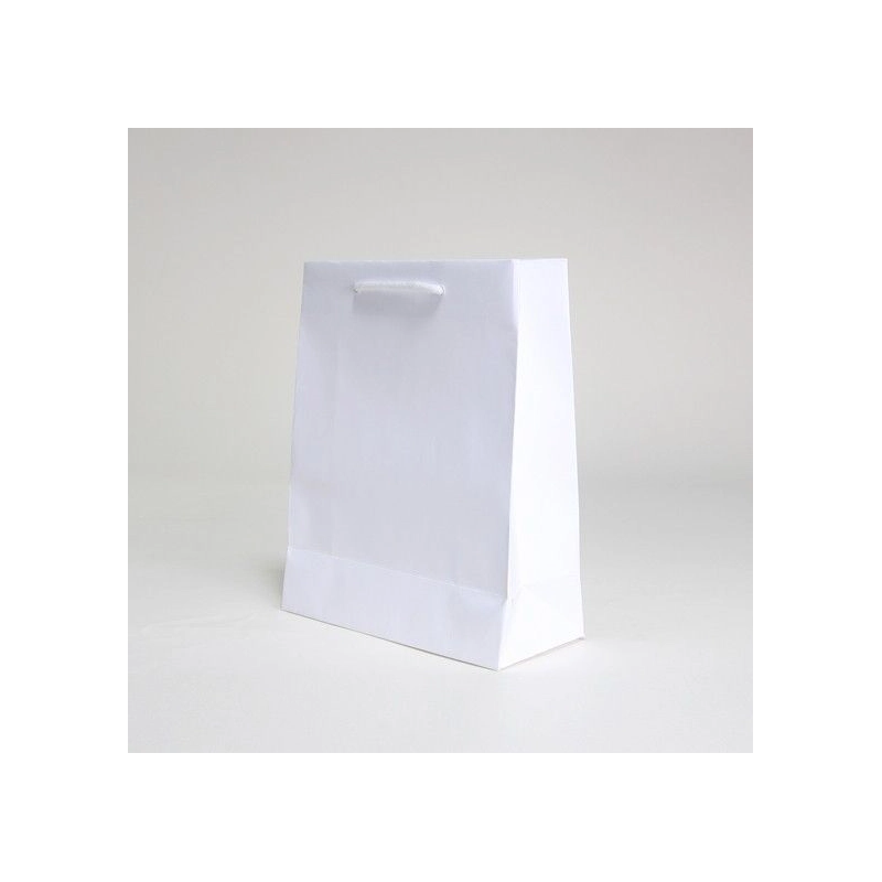 Customized Machine Made Paper Bags Noblesse kraft bag