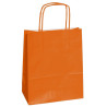 Customized Bags FSC paper bag Safari