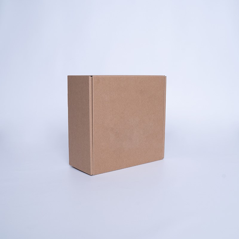 Customized Shipping boxes POSTPACK REINFORCED (SUITABLE FOR WONDERBOX)
