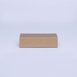 HINGBOX | 12x7x3 CM | BOITE PLATE
