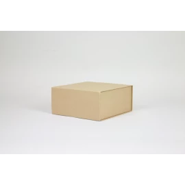 WONDERBOX 22X22X10 CM