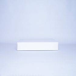 CAMPANA | 37x26x6 CM | LEICHTE BOX MIT DECKEL