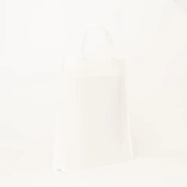 LUS BEUTEL | 40x10x45 CM | VLIESSTOFFTASCHE