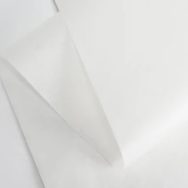 TISSUE PAPER | 47X67 CM