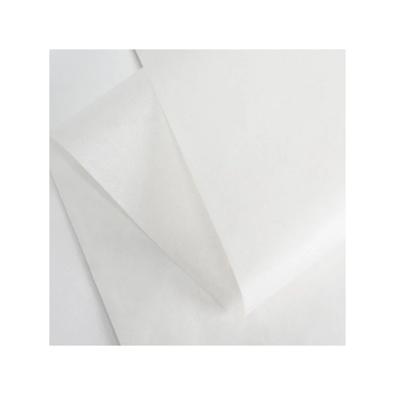 TISSUE PAPER 100X75 CM