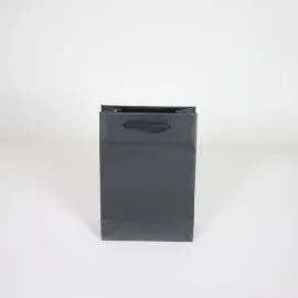 SAC NOBLESSE PAPIER DE LUXE LAMINÉ