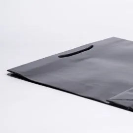 SAC NOBLESSE PAPIER DE LUXE LAMINÉ