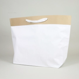 CEMENT BAG | REINFORCED PAPER BAG - Ciment | Centuryprint