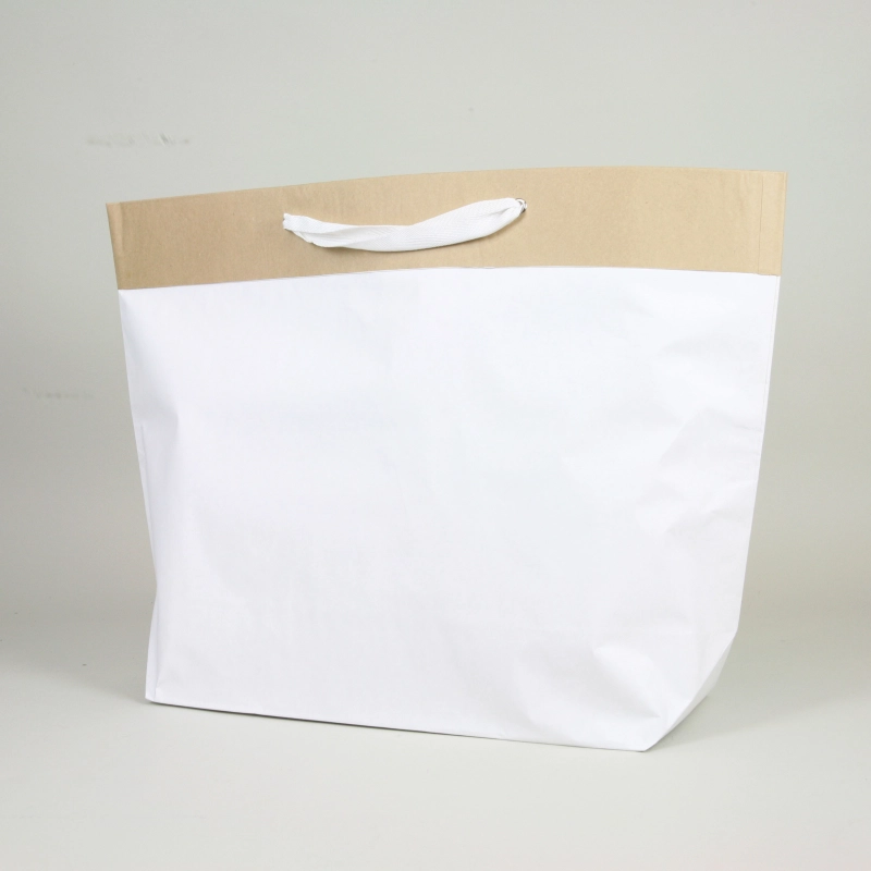 CEMENT BAG | REINFORCED PAPER BAG - Ciment - Centuryprint