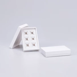 TWINPART | 13,1X8,3X2,2 CM | CAJA CON TAPA Y PROTECTOR