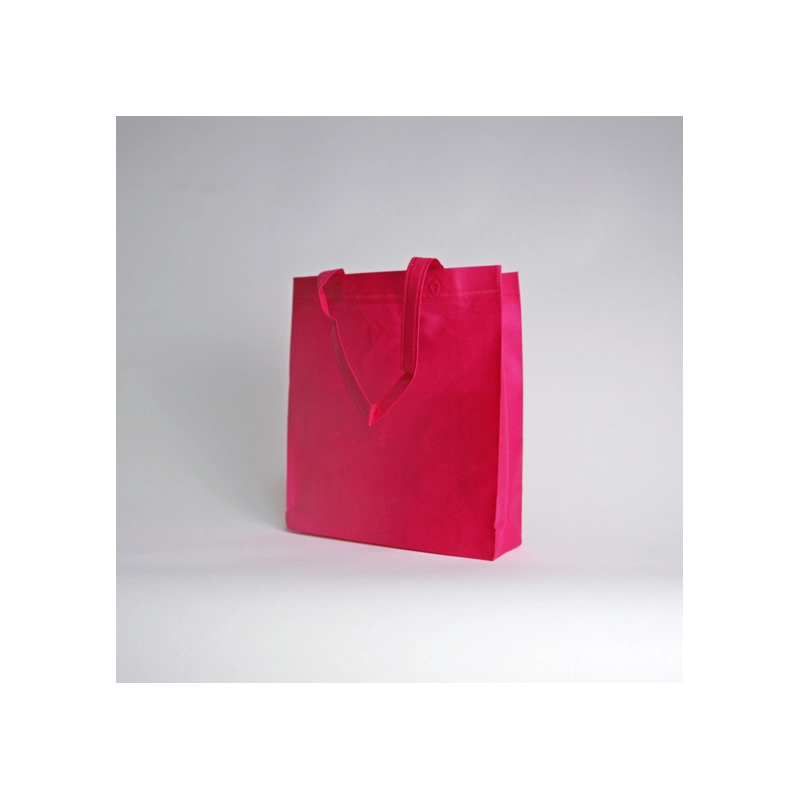 LUS BAG | 25X30X10 CM | NON-WOVEN FABRIC BAG