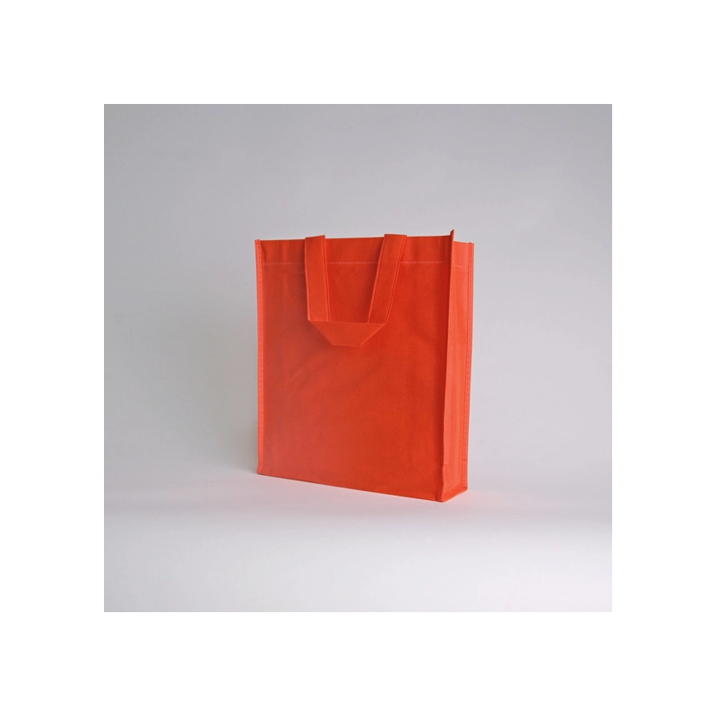 LUS BAG | 25X30X10 CM | NON-WOVEN FABRIC BAG