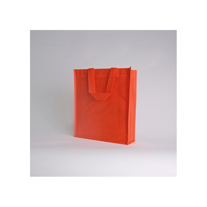 LUS TASCHE | 25X30X10 CM | VLIESSTOFFTASCHE