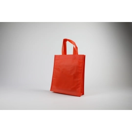 LUS BAG | 25X30X10 CM | NON-WOVEN FABRIC BAG