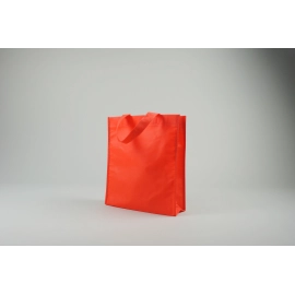 LUS BAG | 25X30X10 CM | NON-WOVEN FABRIC BAG