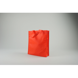 LUS TASCHE | 25X30X10 CM | VLIESSTOFFTASCHE