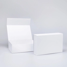 WONDERBOX 33X22X5 CM