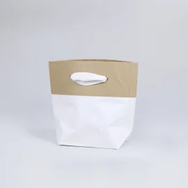 Bolsa de Papel Cemento - Bolsas | Centuryprint
