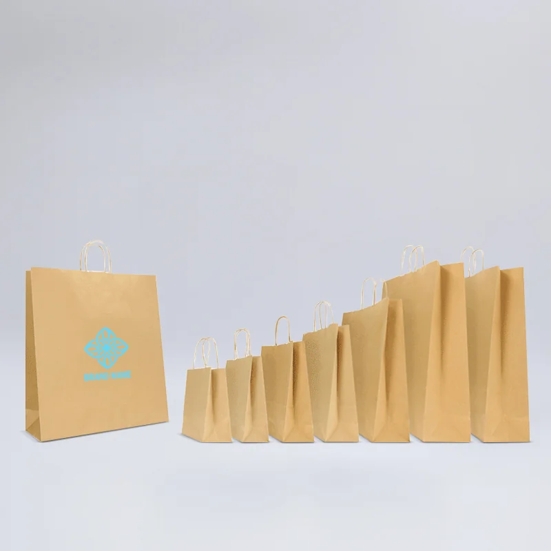 BORSA SAFARI IN KRAFT NATURALE CON MANICI ATTORCIGLIATI - Shopping bag personalizzata Safari - Centuryprint