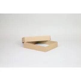CAMPANA | 40x31x8 CM | LICHT DOOS MET DEKSEL