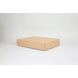 CAMPANA | 40x31x8 CM | CAJA LIGERA CON TAPA