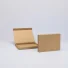 HINGBOX | CAJA PLANA