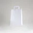 PAPER BAG FLAT HANDLE | 18X08X25