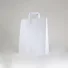 PAPER BAG FLAT HANDLE | 26X11X35
