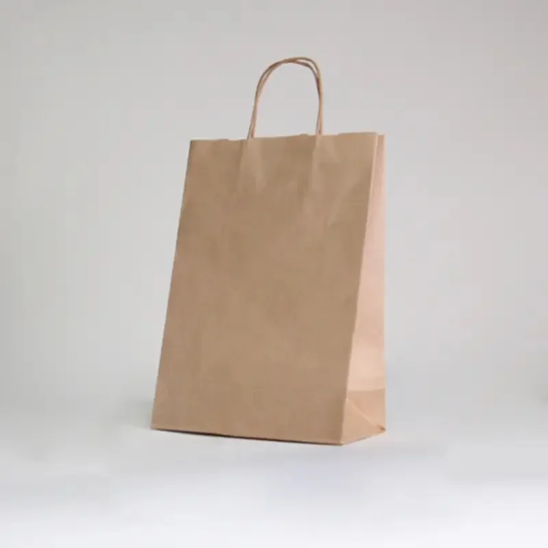 TWISTED HANDLE PAPER BAG | 14x09x21 - Personalized shopping bag Safari - Centuryprint