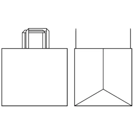 PAPER BAG FLAT HANDLE | 40X35X35 - Box | Centuryprint
