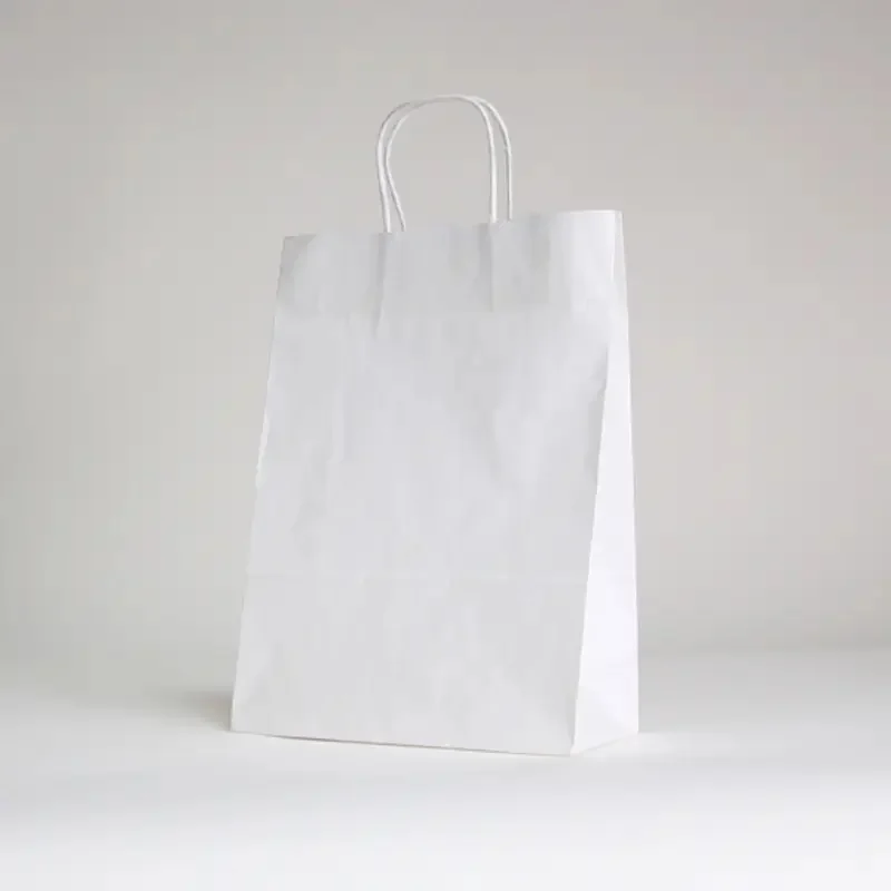 PAPIERTÜTE MIT GEDREHTEM HEBEL | 22x10x29 - Safari personalisierte Papiertüte - Centuryprint