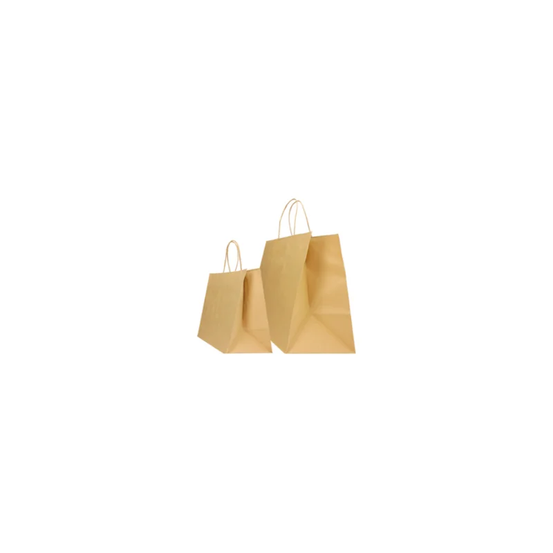 SAC PAPIER POIGNÉE TORSADÉES| 28x17x29 - Sac papier personnalisé Safari - Centuryprint