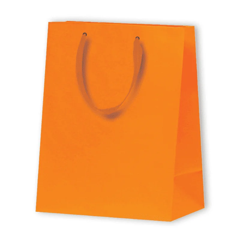 BOLSA DE PAPEL MAT LUX | 17,8x9,8x22,9 - Noblesse - Centuryprint