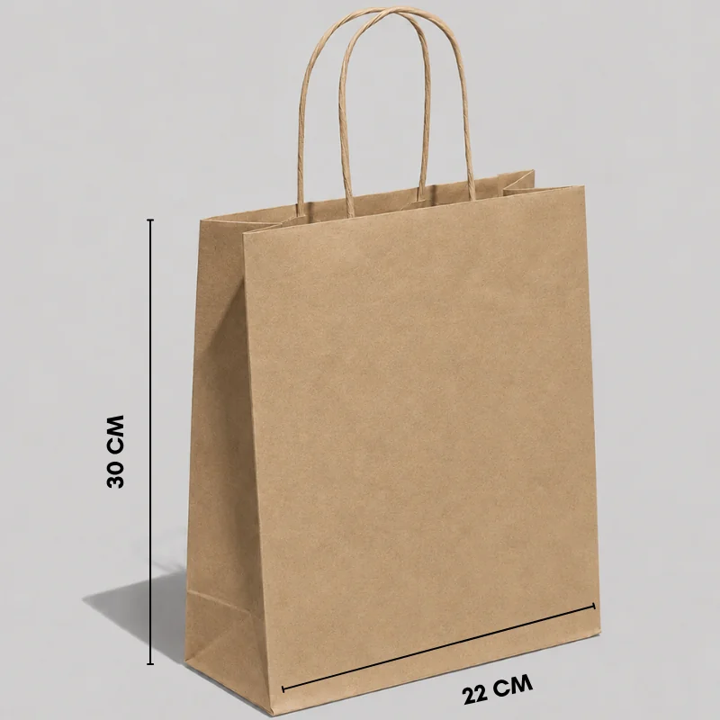 Papiertüte mit gedrehtem Henkel | 30 x 22 x 10 cm | VOLLSTÄNDIGER DRUCK | 25er-Packung - Zuhause - Centuryprint