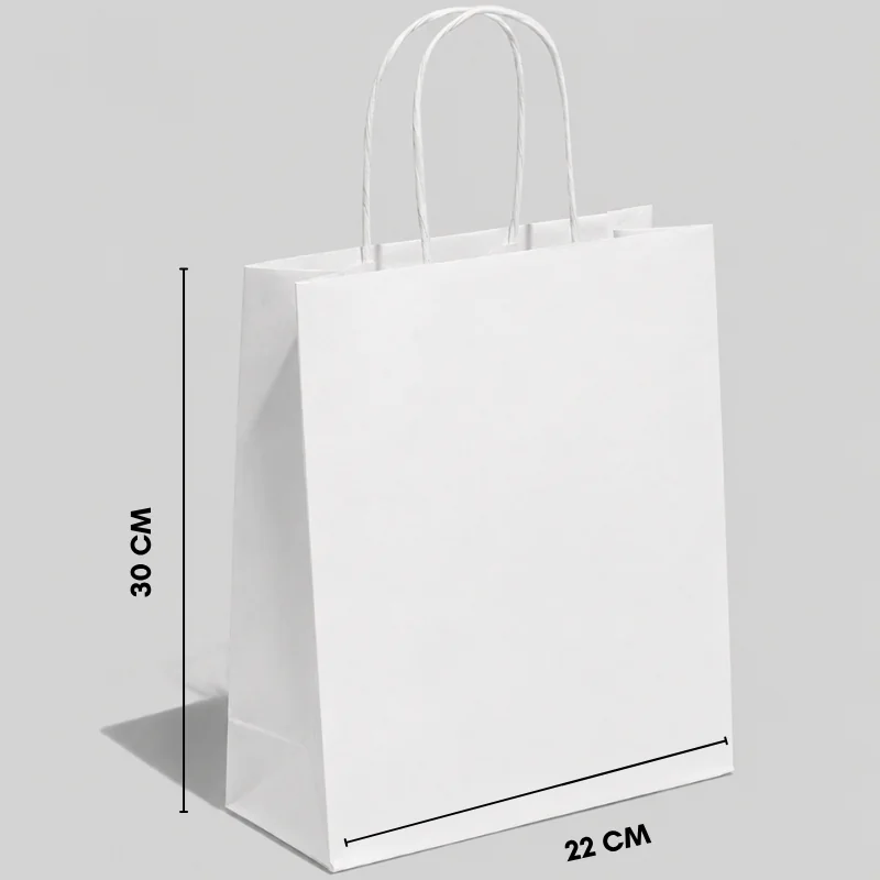 SACCHETTO DI CARTA CON MANICI RICIRCOLATI | 30X22X10 CM | STAMPA COMPLETA | CONFEZIONE DA 25 - Home - Centuryprint