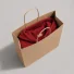 Papiertüte mit gedrehtem Griff | 26 x 14 x 34 cm | VOLLSTÄNDIGER DR...