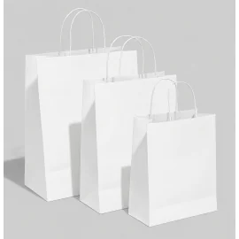 SACCHETTO DI CARTA CON MANICI RICIRCOLATI | 22.5x19x8 cm | STAMPA C...