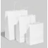 Papieren tas met gedraaid handvat |22.5x19x8 cm | VOLLEDIGE PRINT |...