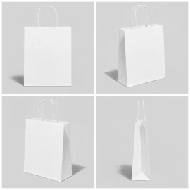 SAC EN PAPIER À POIGNÉES TORSADEES | 22.5x19x8 cm | IMPRESSION COMP...