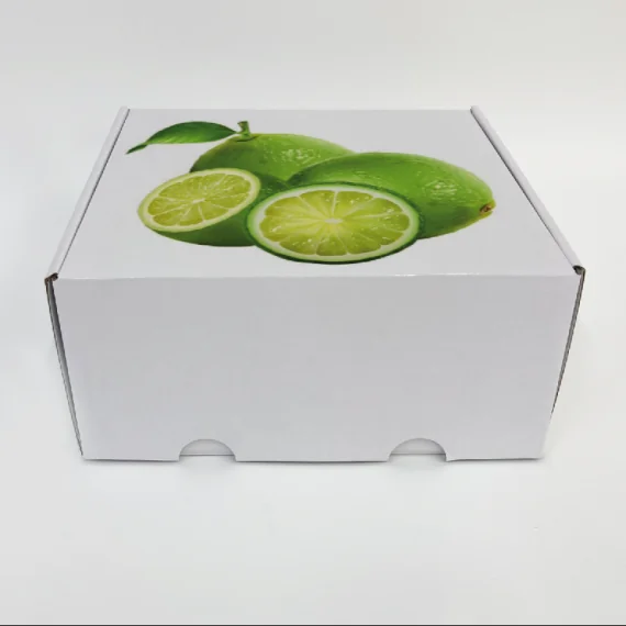 Caja de envío Postpack estándar 34x24x10,5 CM | POSTPACK | IMPRESIÓN DIGITAL EN UN ÁREA PREDEFINIDA