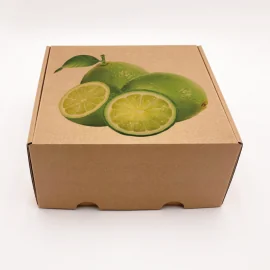 Postpack Standard Versandkarton 34x24x10,5 CM | POSTPACK | DIGITALER DRUCK AUF VORFESTGELEGTEM BEREICH