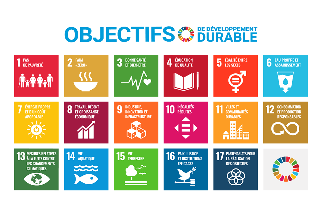 Les 17 objectifs proposés par les nations unies afin de promouvoir le développement durable